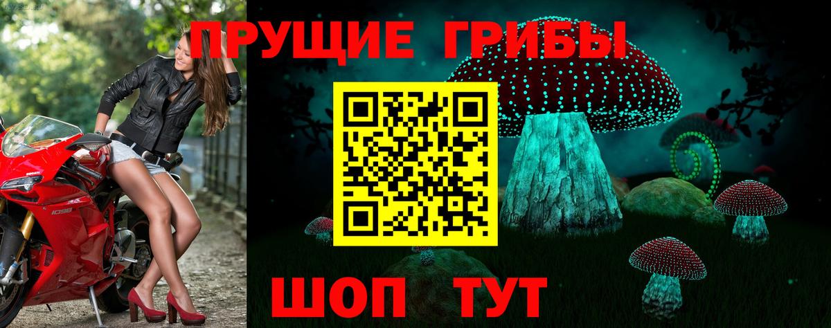 Спасск-Дальний  Галлюциногенные грибы прущие грибы  Вход с VPN 